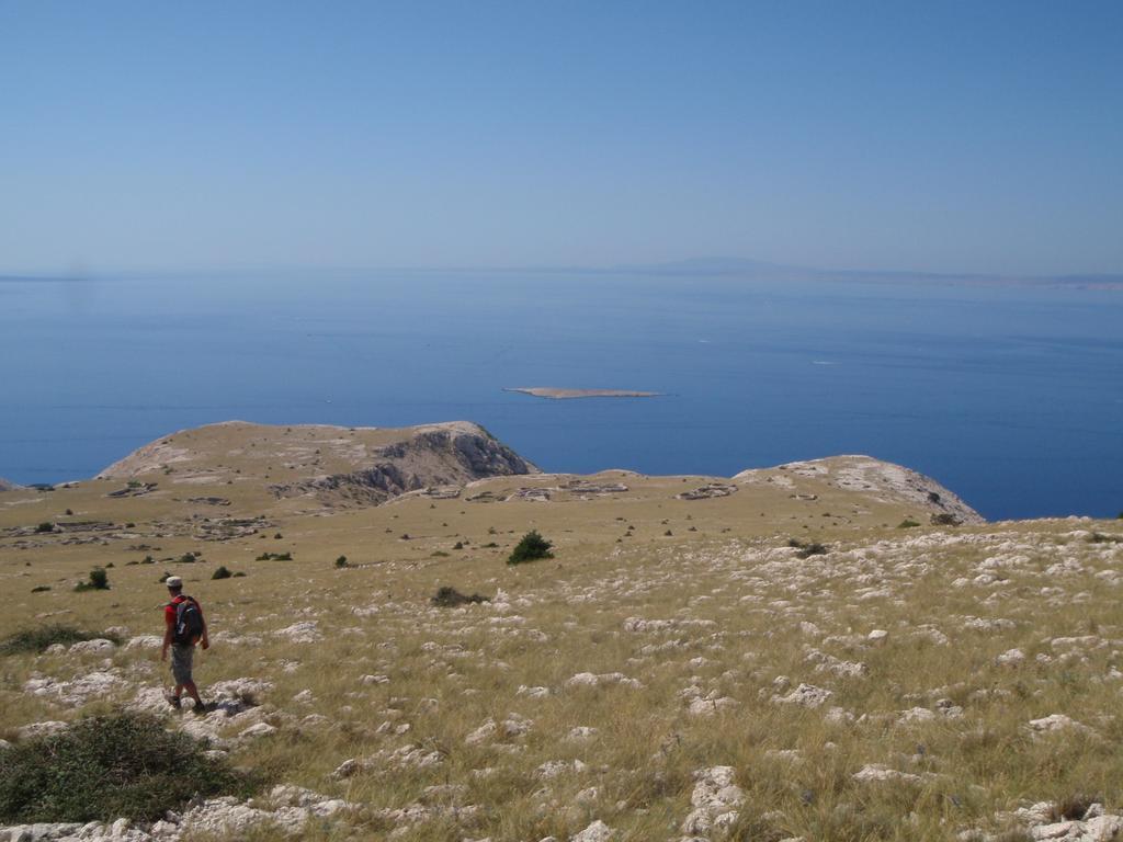 Apartments Monika Bed & Breakfast 236 Punat Εξωτερικό φωτογραφία